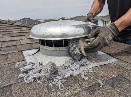 Roof Vent Cleaning in Mango, FL